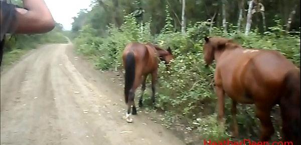  peeing next to horse in jungle